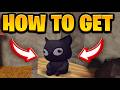 How To COMPLETE TOMOS LOST CAT QUEST In The Forge! (Tomo's Cat Location) | Roblox