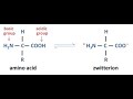 Acide amin zwitterion