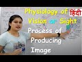 Physiology of Vision | Mechanism of Vision | Internal Physiology of Eye | Parts Functions