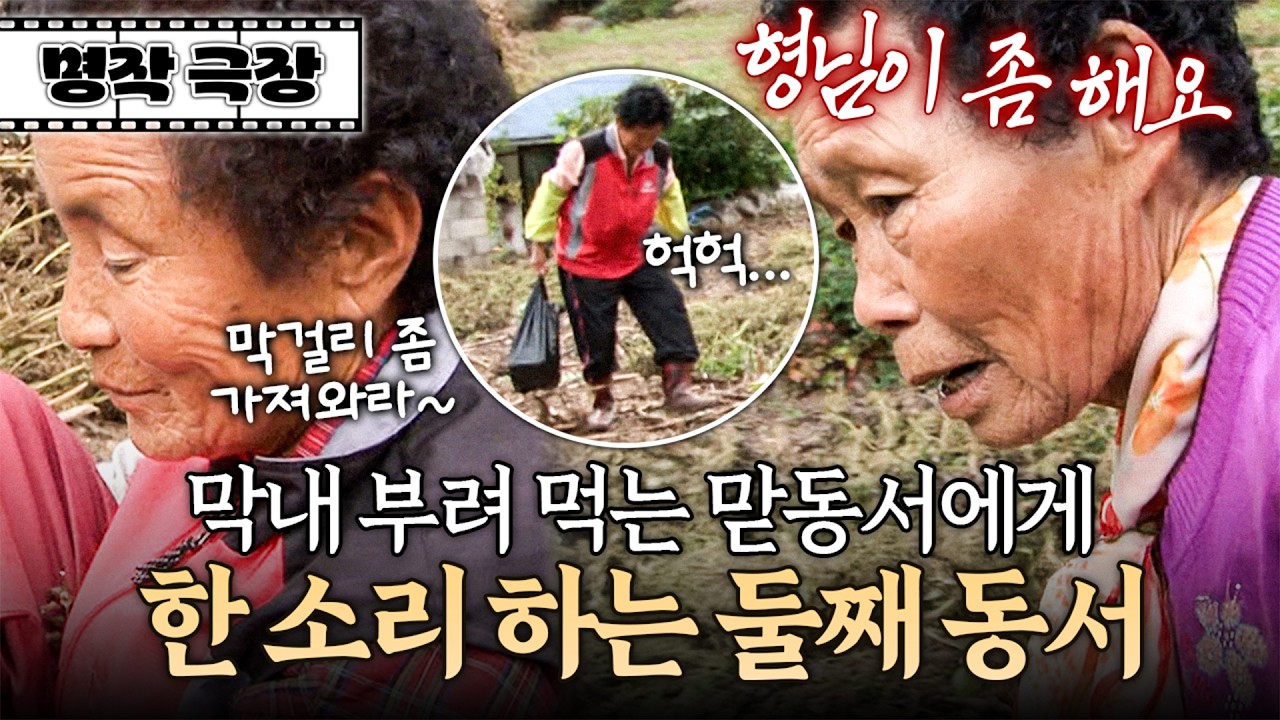 농사일 돕고 있는데 새참 가져와라, 막걸리 가져와라... 막내에게 계속 심부름 시키는 큰동서 | 사노라면 명작극장 90-2