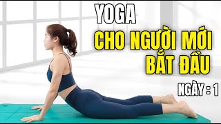 Yoga cho người MỚI BẮT ĐẦU ngày 1: Yoga kéo giãn cơ thể  | Hoàng Uyên Yoga