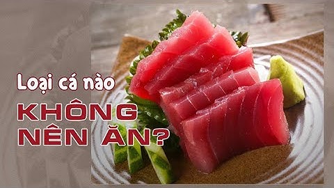 Ăn cá rất tốt, nhưng 4 loại cá này Không Nên ăn tùy tiện, không có lợi cho sức khỏe