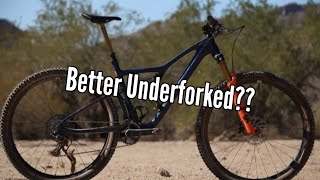 Ibis Exie Long Term Review/Bike Check - Eric's Test Kitchen