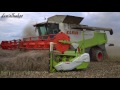 Claas Lexion 600 + heder 12m Vario 1200 w rzepaku