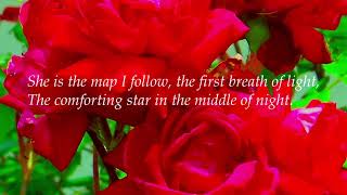 Mother's Day Reflection & Comfort~ Nature's Petals and Soft Heartfelt Poetry ~🌹~ screenshot 4