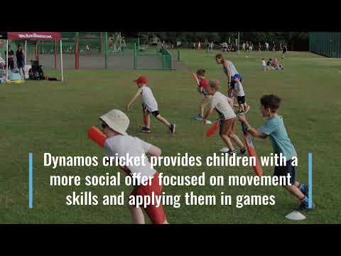 All Stars and Dynamos Cricket