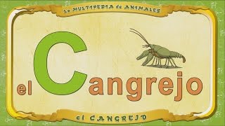 La Multipedia De Animales. Letra  C - El Cangrejo