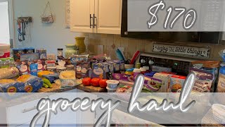 $170 ALDI & WALMART GROCERY HAUL