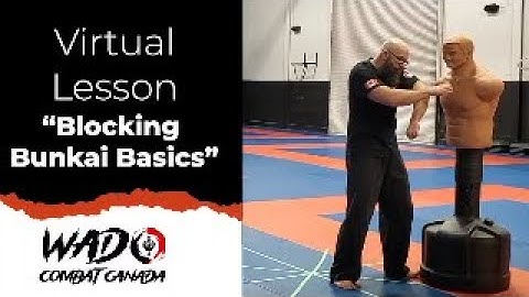 Karate "Blocking" Bunkai:  Basic Applications