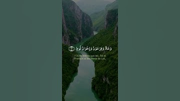 كذبت قبلهم قوم نوح واصحاب الرس | القارىء أركان القيسي | حالات واتس اب دينية قصيرة قران كريم