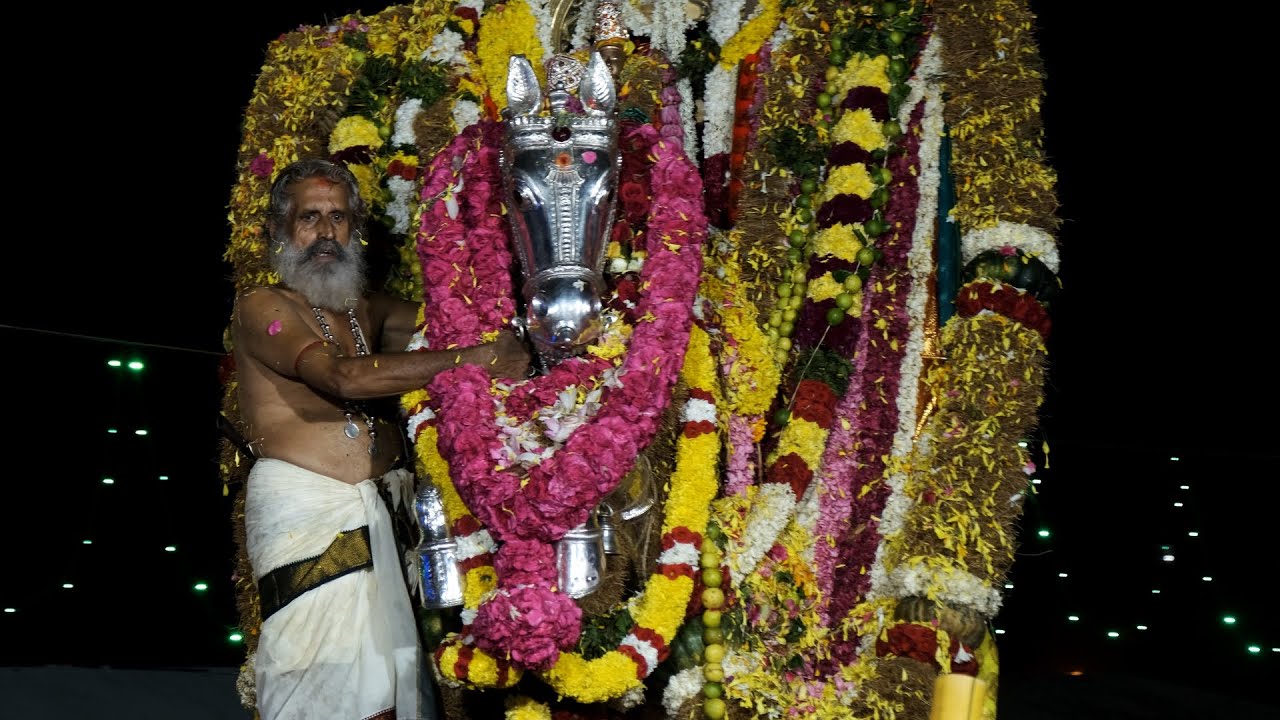 ഒരു രക്ഷയുമില്ല ഈ ജന സമുദ്രത്തിന്റെ നവരാത്രി യാത്ര. തിരുവനന്തപുരത്തിന്റെ അഭിമാനം #navarathri #kerala