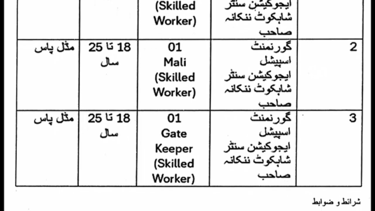 Government Special Education Centre Nankana Sahib Jobs 2026