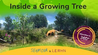 | 360 | VR | Growing Tree from a Sapling Animation - Go Inside the Tree!!