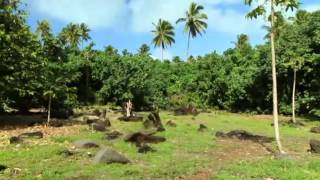 Tourism continues to go from strength to strength on the back of so...