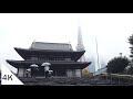 4k rainy day walk from shiba park to zojoji templ