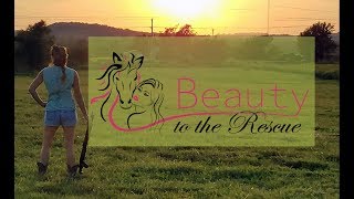 Beauty to the Rescue: Introduction to Swingin D Horse Rescue in Coweta, OK, near Tulsa