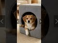 Cama Pet 2 em 1: Toca no Frio e Cama no Calor 🐶🐱