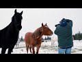 The new Tamron 100-400mm lens in Grand Teton with Photographer Cecil Holmes.