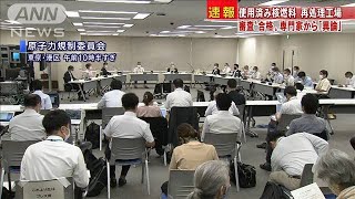 六ケ所村の再処理工場“合格”　専門家から「異論」(20/07/29)