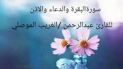 سورة البقرة والدعاء والاذن بصوت الشيخ الغريب الموصلي ⚘⚘