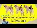 LaLaWalk Hip