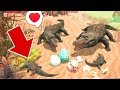 СИМУЛЯТОР КРОКОДИЛА в ИГРЕ Crocodile Family Sim Online