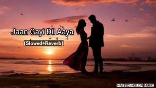 Jaan Gayi Dil Aaya (Slowed Reverb) LOFI song #hindisong #lovesong #viralvideo