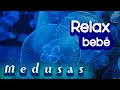 Música para Dormir Bebés Profundamente ♫ MEDUSAS ♫ Música Relajante para Bebés