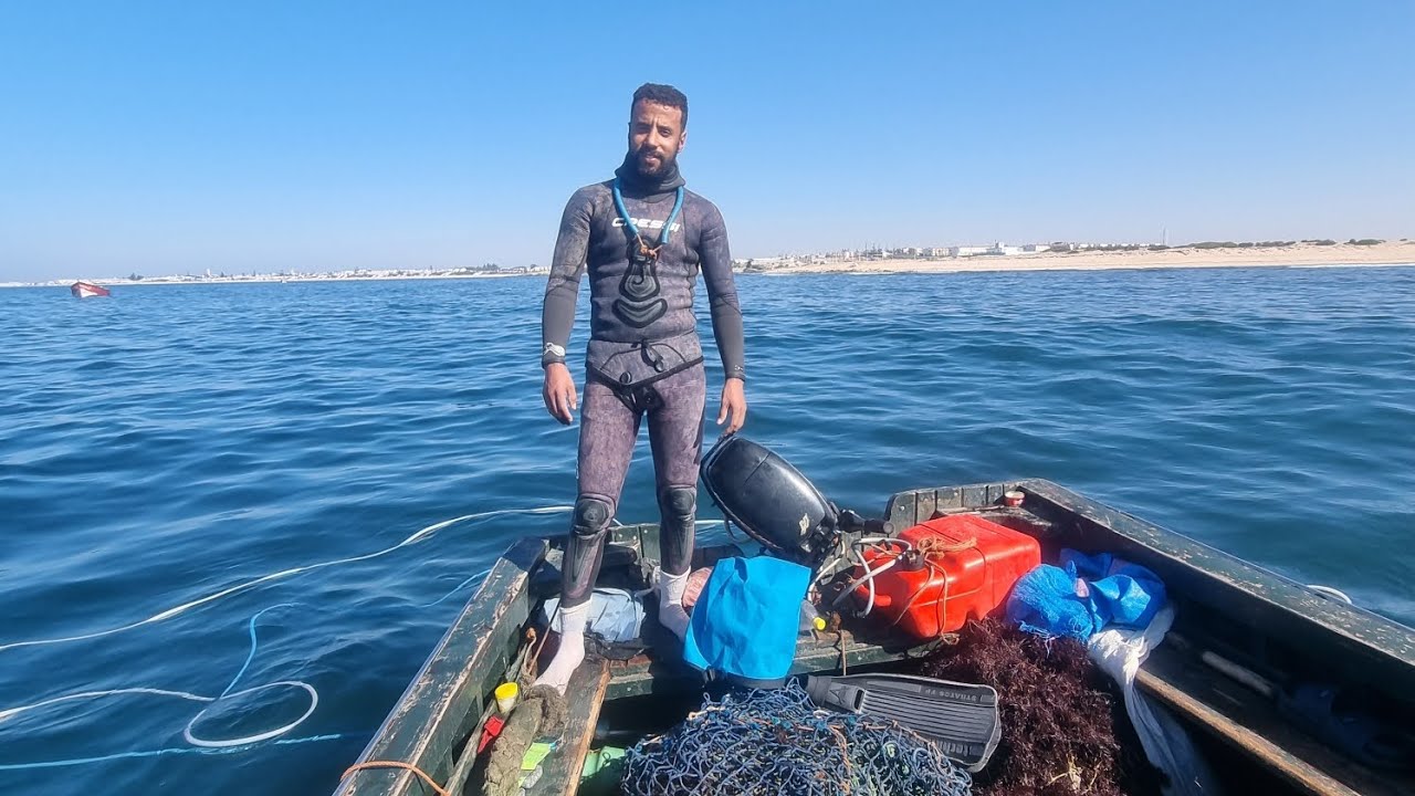 الغوص  على طحالب البحر صيف 2023