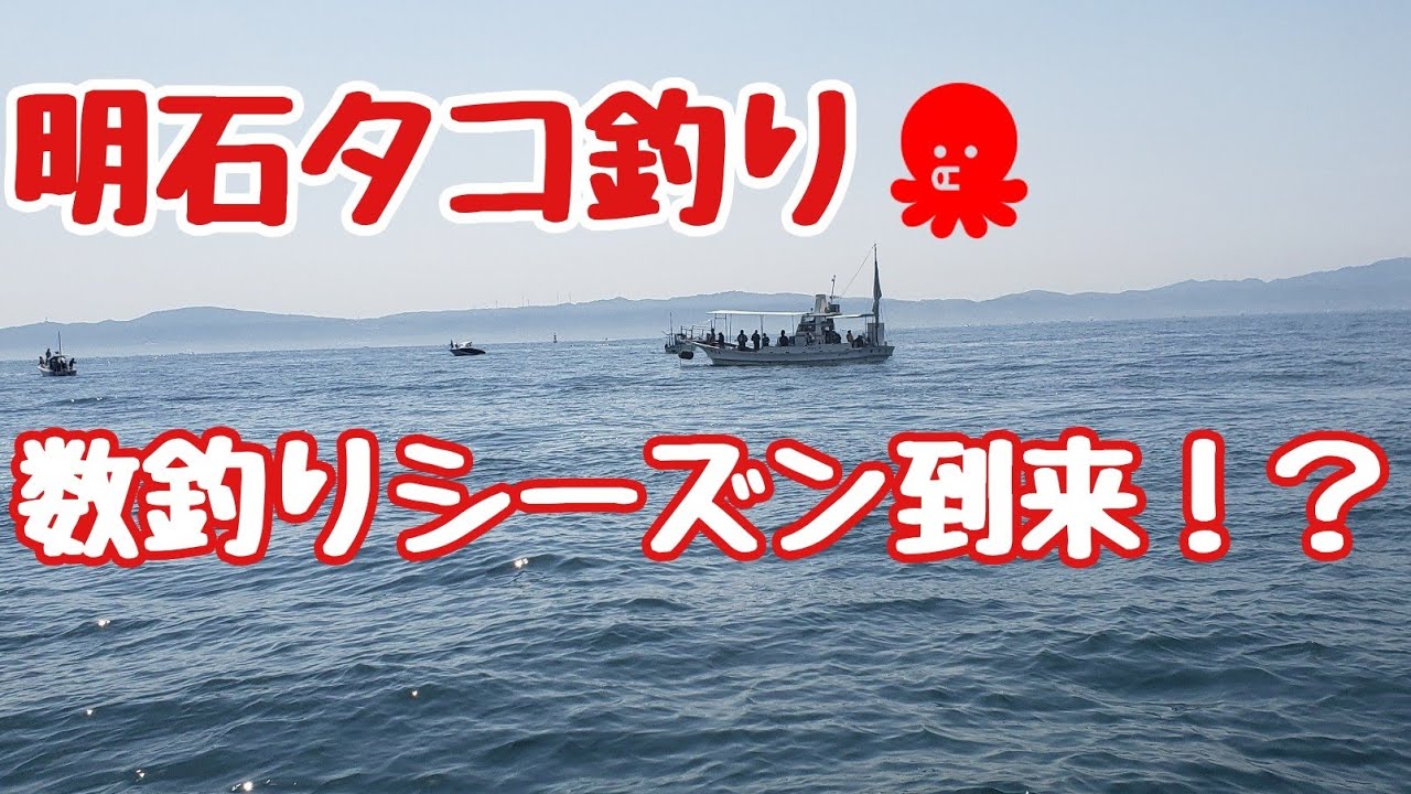 明石タコ釣り シーズンインの兆 最新の釣れ方 ヒットパターンや潮について解説 Youtube 明石タコ釣り シーズンインの兆 最新の釣れ方 ヒットパターンや潮について解説 Youtube