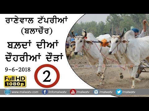 RANEWAL TAPPRIAN (Balachaur) 🔴 OX RACES - ਬੈਲ ਗੱਡੀਆਂ ਦੀ ਦੂਹਰੀ ਦੌੜ ਦਾ ਮੁਕਾਬਲਾ ● FULL HD ● Part 2