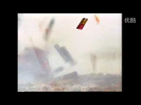 金狮拜年 万事都吉祥 喜气洋洋 春花齐放