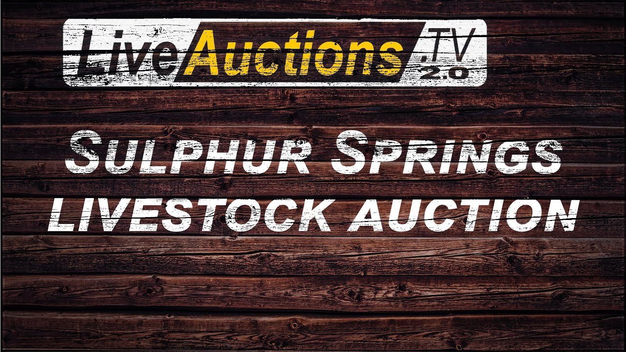 Sulphur Springs Livestock Auctions YouTube