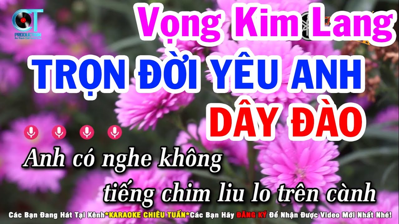 Karaoke Trọn Đời Yêu Anh | Vọng Kim Lang Dây Đào | Karaoke Chiêu Tuấn