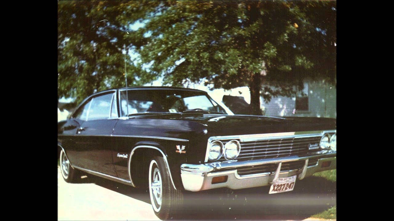 Shane "Brother Shane" Gibson  Climbs Up His Back Like A Squirrel.wmv