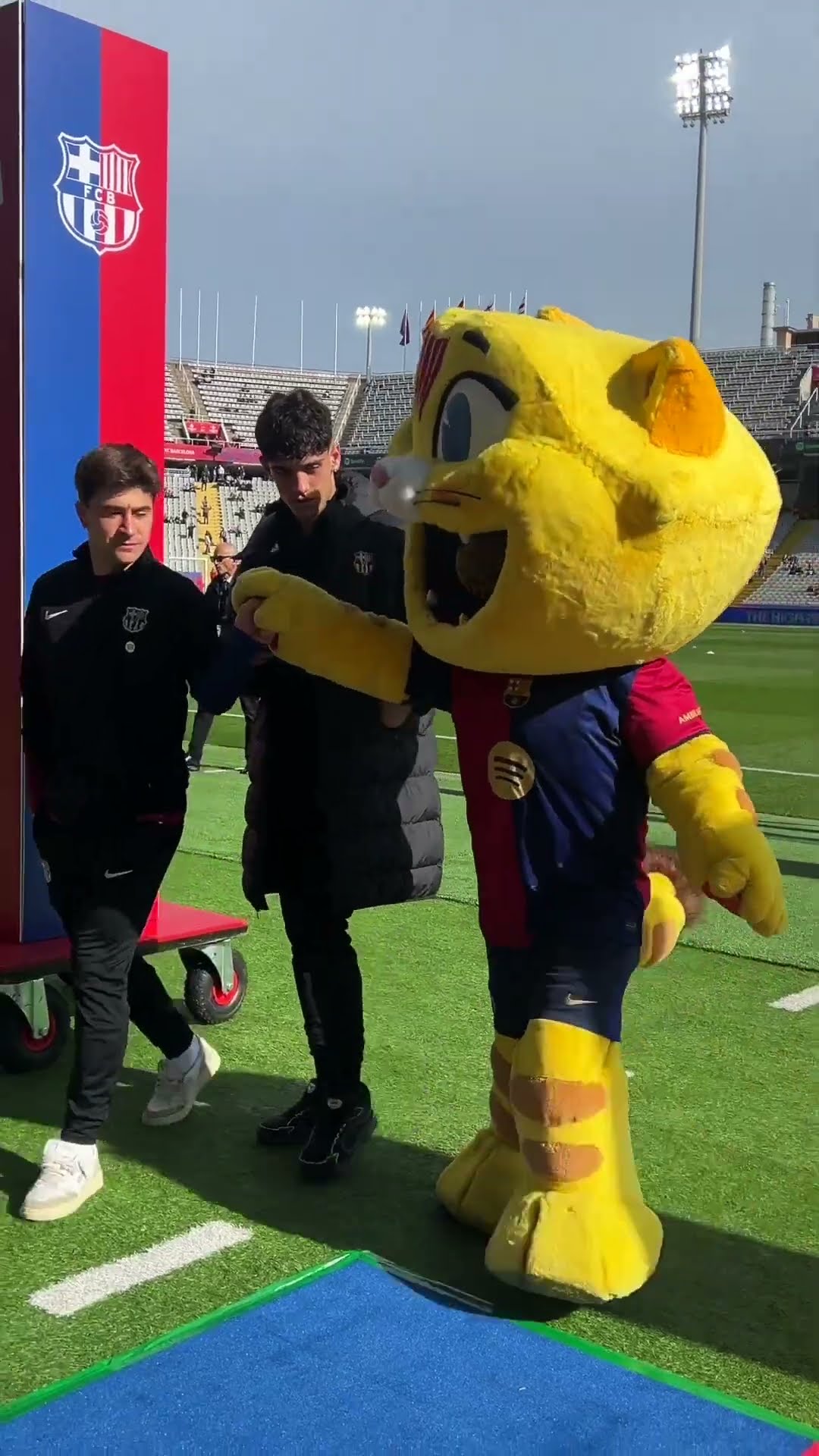 Our players love playing with CAT before the games ?❤️ #fcbarcelona #Cat #shorts
