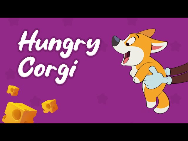 Hungry Corgi