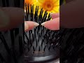 Cozy Town ASMR...