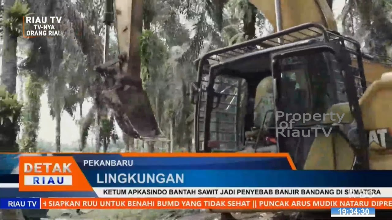 KETUM APKASINDO BANTAH SAWIT JADI PENYEBAB BANJIR BANDANG DI SUMATERA