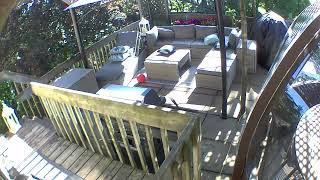 3975 Road 111 Back Deck 2021