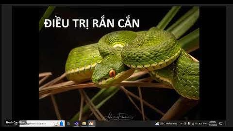 Điều trị rắn cắn P1 - Nội bệnh lý 3