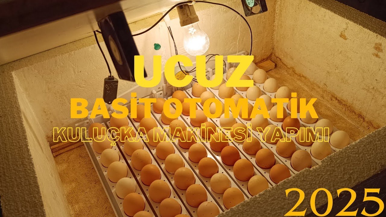 Ucuz Basit Tam Otomatik kuluçka makinesi yapımı/Kuluçka makinesi kablo bağlantısı nasıl yapılır/Egg