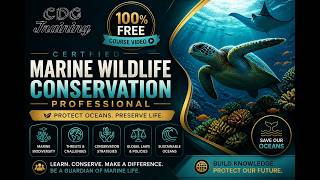 Marine Wildlife Conservation Course | Free Course Video