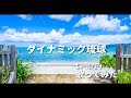 ダイナミック琉球【ちょっとだけ歌ってみた】ぺこ