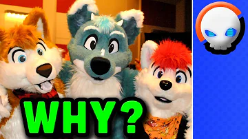Why do Furries Exist? - A Fur-real look at the Fandom | Gnoggin