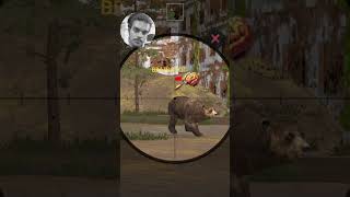 #beer #target #hunter #भालूमारागया