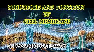 Structure and function of cell membrane |The Dynamic Gateway of Life | Cell Membrane Documentary