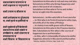 Selection of sanskrit slokas yajur veda from both shukla and krishna
pakshas (books) along with english translations. some these hymns are
also found i...