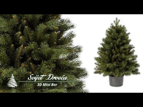 Video: Mogu li posaditi božićno drvce u saksiji?