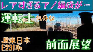 1編成しかないレアなE655系との離合に乗務員も身を乗り出す!? 前面展望動画【JR東日本 東海道線 (上野東京ライン) E231系】